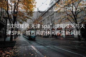 “沈阳楼凤 天津 spa”沈阳楼凤与天津SPA，城市间的休闲养生新风尚