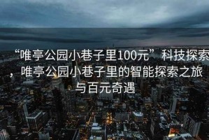 “唯亭公园小巷子里100元”科技探索，唯亭公园小巷子里的智能探索之旅与百元奇遇