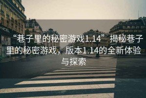 “巷子里的秘密游戏1.14”揭秘巷子里的秘密游戏，版本1.14的全新体验与探索