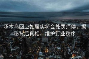 啄木鸟回应如属实将会处罚师傅，揭秘背后真相，维护行业秩序