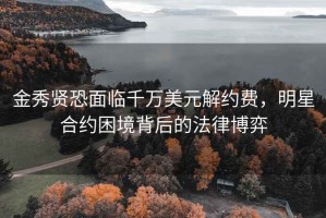 金秀贤恐面临千万美元解约费，明星合约困境背后的法律博弈