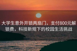 大学生意外开锁两扇门，支付800元解锁费，科技新规下的校园生活挑战