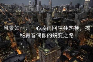 风景如画，王心凌再回应4k热梗，揭秘青春偶像的蜕变之路