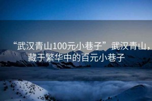 “武汉青山100元小巷子”武汉青山，藏于繁华中的百元小巷子