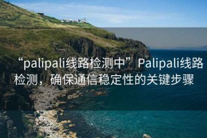 “palipali线路检测中”Palipali线路检测，确保通信稳定性的关键步骤