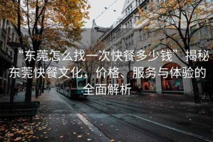 “东莞怎么找一次快餐多少钱”揭秘东莞快餐文化，价格、服务与体验的全面解析