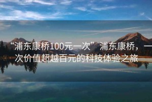 “浦东康桥100元一次”浦东康桥，一次价值超越百元的科技体验之旅