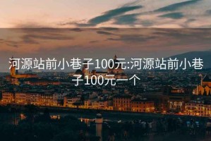 河源站前小巷子100元:河源站前小巷子100元一个