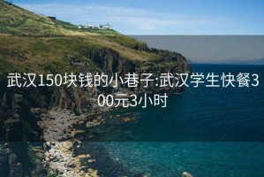 武汉150块钱的小巷子:武汉学生快餐300元3小时