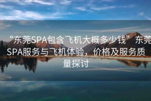 “东莞SPA包含飞机大概多少钱”东莞SPA服务与飞机体验，价格及服务质量探讨