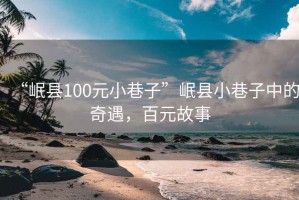 “岷县100元小巷子”岷县小巷子中的奇遇，百元故事