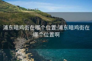 浦东暗鸡街在哪个位置:浦东暗鸡街在哪个位置啊