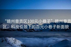 “赣州章贡区100元小巷子”赣州章贡区，科技引领下的百元小巷子新面貌