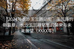 “2024年长沙玉兰路站街”玉兰路的新篇章，长沙玉兰路站街的繁荣与未来展望（XXXX年）