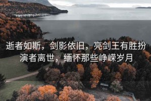 逝者如斯，剑影依旧，亮剑王有胜扮演者离世，缅怀那些峥嵘岁月