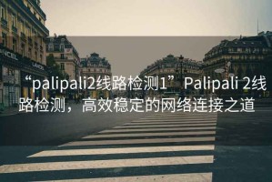 “palipali2线路检测1”Palipali 2线路检测，高效稳定的网络连接之道