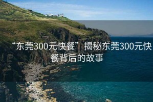 “东莞300元快餐”揭秘东莞300元快餐背后的故事