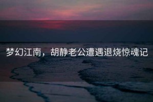 梦幻江南，胡静老公遭遇退烧惊魂记