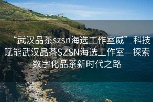 “武汉品茶szsn海选工作室威”科技赋能武汉品茶SZSN海选工作室—探索数字化品茶新时代之路