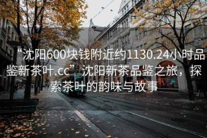 “沈阳600块钱附近约1130.24小时品鉴新茶叶.cc”沈阳新茶品鉴之旅，探索茶叶的韵味与故事