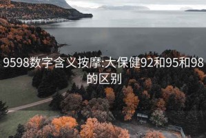 9598数字含义按摩:大保健92和95和98的区别