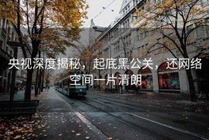 央视深度揭秘，起底黑公关，还网络空间一片清朗