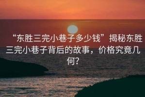 “东胜三完小巷子多少钱”揭秘东胜三完小巷子背后的故事，价格究竟几何？