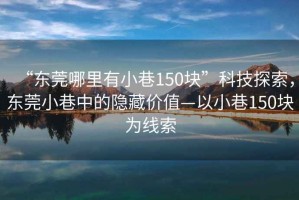 “东莞哪里有小巷150块”科技探索，东莞小巷中的隐藏价值—以小巷150块为线索