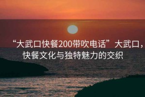 “大武口快餐200带吹电话”大武口，快餐文化与独特魅力的交织