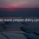 site:www.yeeper-dairy.com: