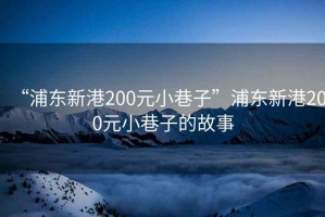 “浦东新港200元小巷子”浦东新港200元小巷子的故事