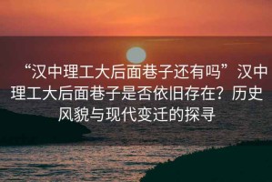 “汉中理工大后面巷子还有吗”汉中理工大后面巷子是否依旧存在？历史风貌与现代变迁的探寻