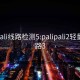 palipali线路检测5:palipali2轻量版线路3