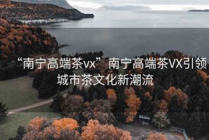 “南宁高端茶vx”南宁高端茶VX引领城市茶文化新潮流