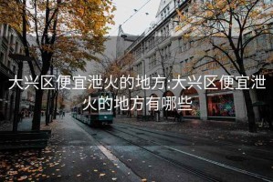 大兴区便宜泄火的地方:大兴区便宜泄火的地方有哪些