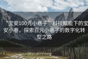 “宝安100元小巷子”科技赋能下的宝安小巷，探索百元小巷子的数字化转型之路