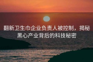 翻新卫生巾企业负责人被控制，揭秘黑心产业背后的科技秘密