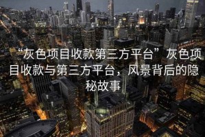 “灰色项目收款第三方平台”灰色项目收款与第三方平台，风景背后的隐秘故事