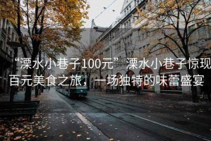 “溧水小巷子100元”溧水小巷子惊现百元美食之旅，一场独特的味蕾盛宴