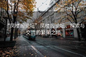 “凤楼阁论坛”凤楼阁论坛，探索与交流的繁荣之地