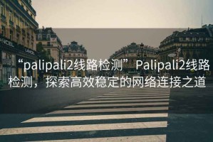 “palipali2线路检测”Palipali2线路检测，探索高效稳定的网络连接之道