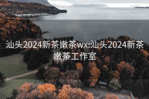 汕头2024新茶嫩茶wx:汕头2024新茶嫩茶工作室