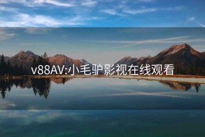 v88AV:小毛驴影视在线观看