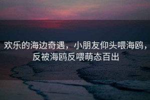 欢乐的海边奇遇，小朋友仰头喂海鸥，反被海鸥反喂萌态百出