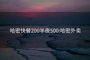 哈密快餐200半夜500:哈密外卖