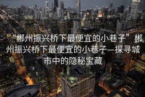 “郴州振兴桥下最便宜的小巷子”郴州振兴桥下最便宜的小巷子—探寻城市中的隐秘宝藏