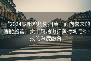 “2024贵阳鸡场街扫黄”面向未来的智能监管，贵阳鸡场街扫黄行动与科技的深度融合