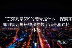 “东郊到家699的暗号是什么”探索东郊到家，揭秘神秘的数字暗号和独特体验