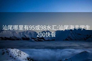 汕尾哪里有95或98水汇:汕尾海丰学生200快餐