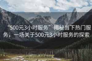 “500元3小时服务”揭秘当下热门服务，一场关于500元3小时服务的探索